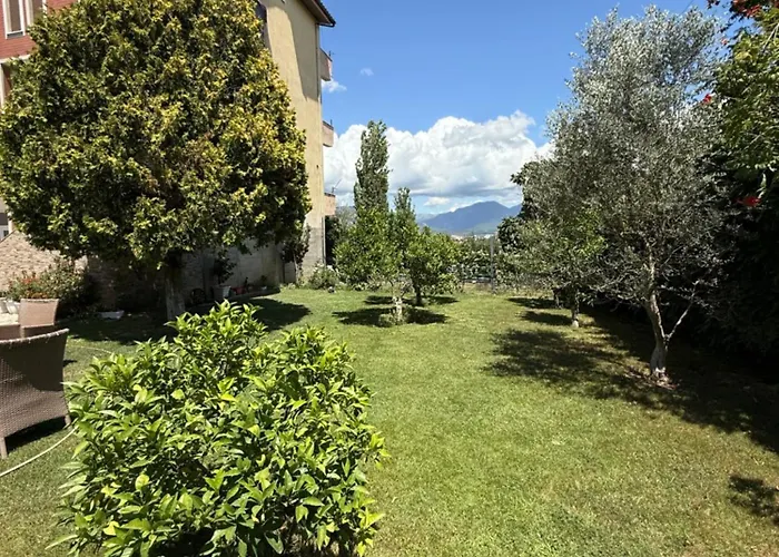 Hill Haven Bed and Breakfast